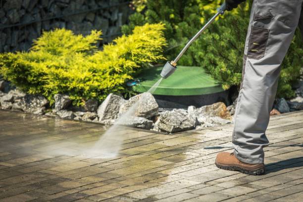 Best Animal Enclosure Cleaning  in Lawrence, KS